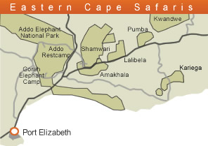 The Difference Between The Reserves Of The Eastern Cape African the-difference-between-the-reserves-of-the-eastern-cape-african